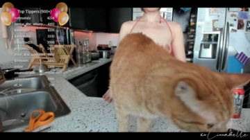 Cinnabelle  28-08-2021 smilebitch Female